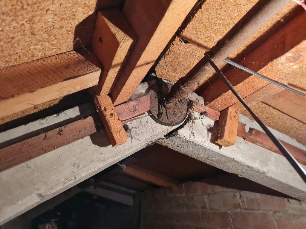 Outbuilding inspected during a building survey