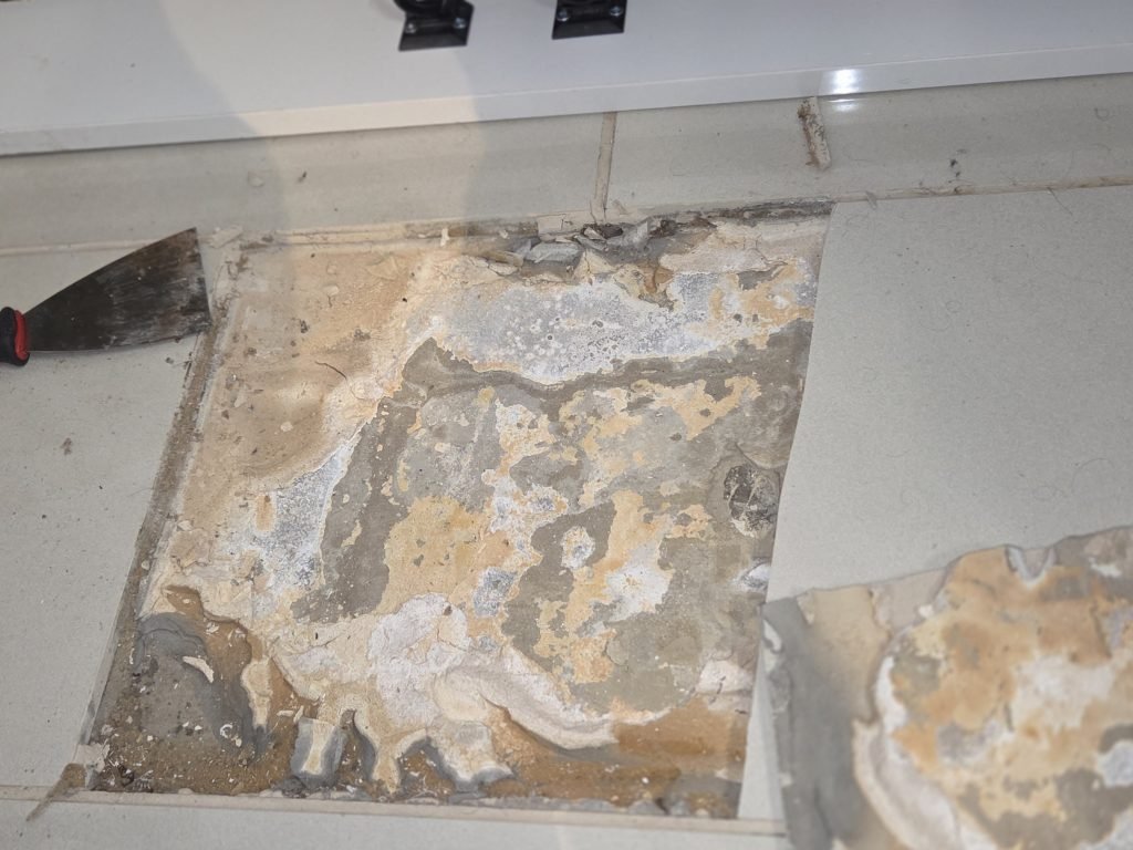 Lifted and cracked kitchen floor tiles caused by sulphate attack