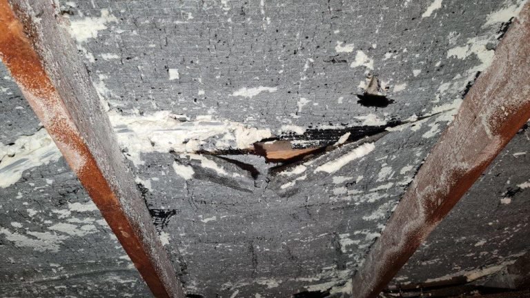 Blackened, decayed roof timber exposed beneath removed spray foam insulation